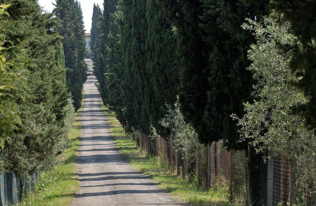 דירות סקנדיצ'י Agriturismo Poggio Arioso מראה חיצוני תמונה