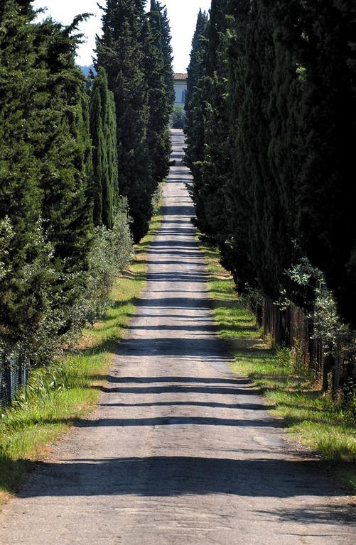 דירות סקנדיצ'י Agriturismo Poggio Arioso מראה חיצוני תמונה